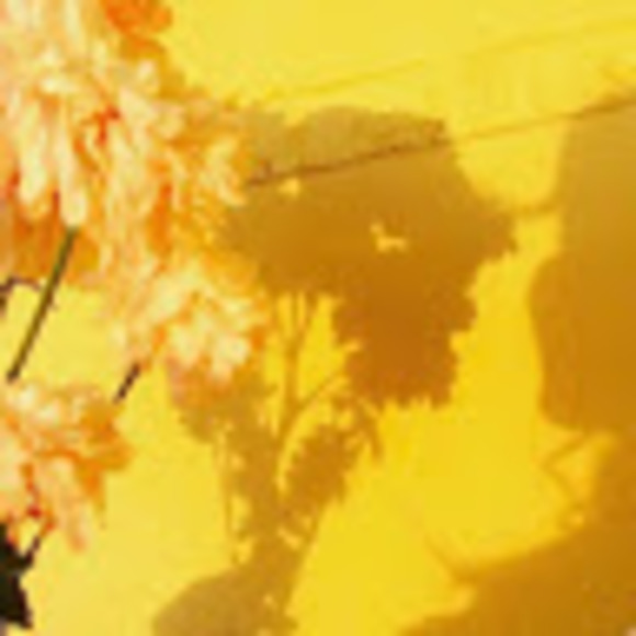 Meet your Posher, Julia - Picture 1 of 1